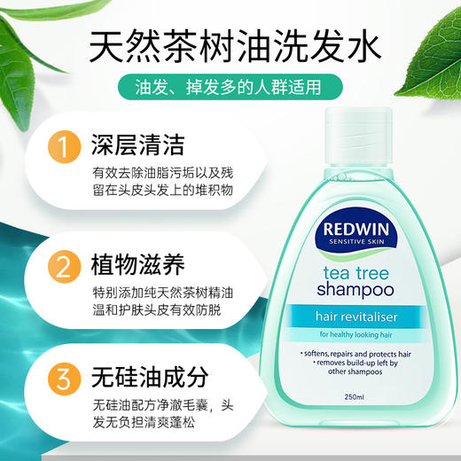 澳洲REDWIN茶树油洗发水控油无硅油去屑洗发露煤焦油洗剂止痒焦煤 商品图2