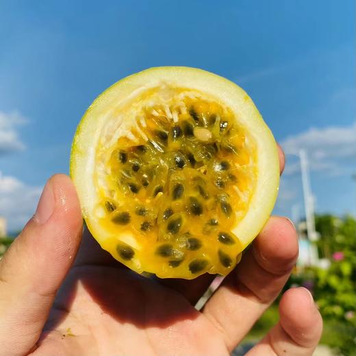 钦蜜9号黄金百香果，一款近乎纯甜的百香果，果香浓郁，酸甜可口，富含维C 商品图1