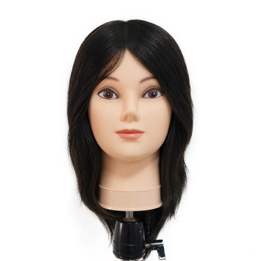 飞彩12寸黑色全人发女士教练头 商品图0