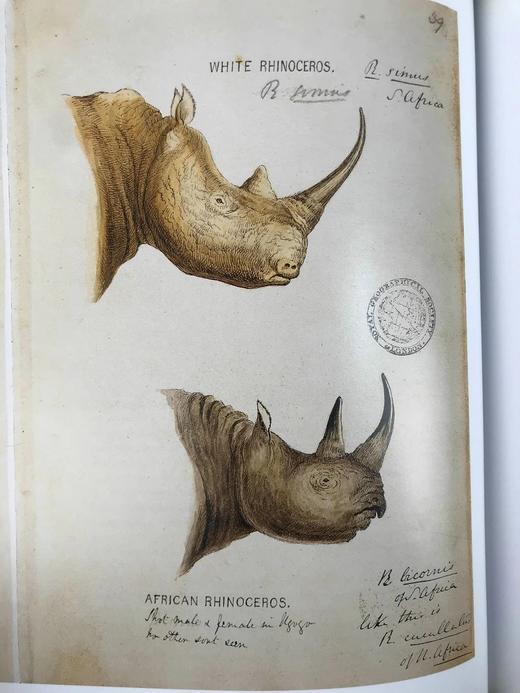 探险者之眼 120幅彩色插图 精装16开 商品图14