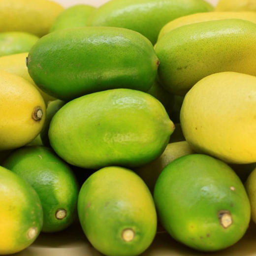 无籽有机香水柠檬4斤装青柠黄柠随机发皮薄多汁包邮 商品图6