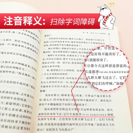 (仓发) 尼尔斯骑鹅旅行记 快乐读书吧六年级下册推荐阅读 无障碍阅读 小学生课外推荐阅读书目 有习题/南方出版社/[瑞典]塞尔玛·拉格洛夫/9787550168312 商品图3