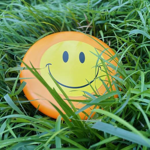 175克原创专业飞盘 04号：无国界笑脸荧光橙（全国顺丰包邮） 商品图1