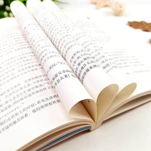 (仓发) 爱的教育 快乐读书吧六年级上册阅读 中小学课外阅读无障碍阅读六年级课外阅读书 智慧熊图书/时代文艺出版社/[意]亚米契斯/9787538768145 商品图6