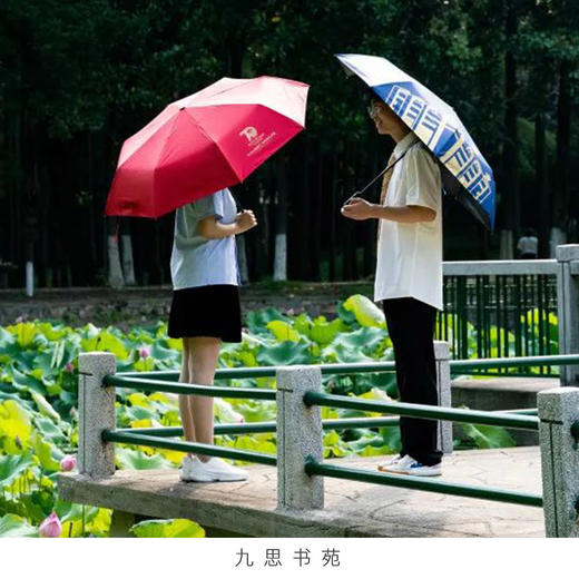 自动手柄晴雨伞 商品图1