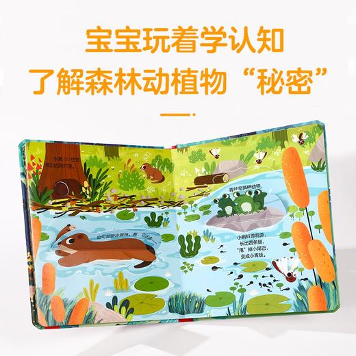 (仓发) 揭秘小世界认知篇-揭秘森林(0-2岁幼儿启蒙早教科普绘本)翻翻+洞洞设计 乐乐趣童书幼儿启蒙科普洞洞书/未来出版社/张双/9787541765339 商品图1
