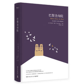 (仓发) 巴黎圣母院（精装版）/湖南文艺出版社/[法]维克多·雨果/9787540486839