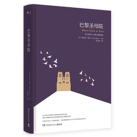 (仓发) 巴黎圣母院（精装版）/湖南文艺出版社/[法]维克多·雨果/9787540486839 商品图0