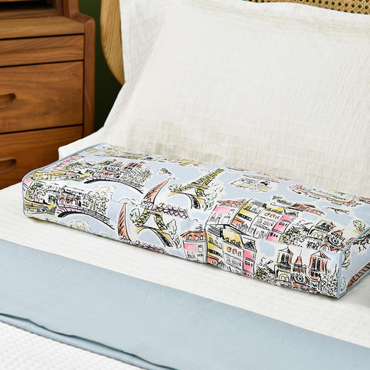 城市漫步系列荞麦壳长方枕 商品图1