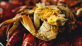  超鲜！夏天就要吃六月黄熟醉蟹，还是双壳的那种！ 