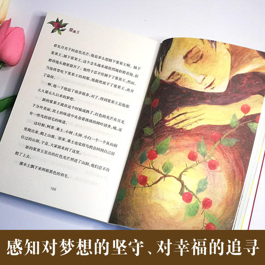 浆果王   2年级书目|正版现货速发|名师推荐|小学生课外阅读二年级 商品图2