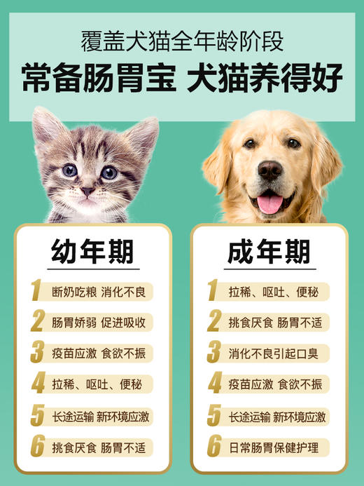 小宠肠胃宝益生菌改善肠道菌群 调理肠胃软便便秘 商品图3