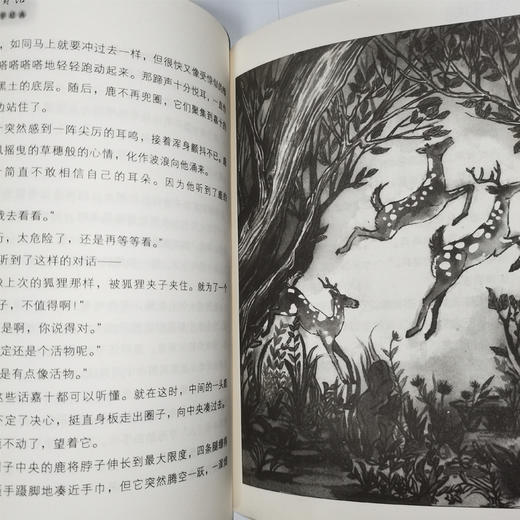 要求太多的餐馆   五年级共读书正版现货速发|名师推荐|小学生课外阅读5年级课外读物 商品图2