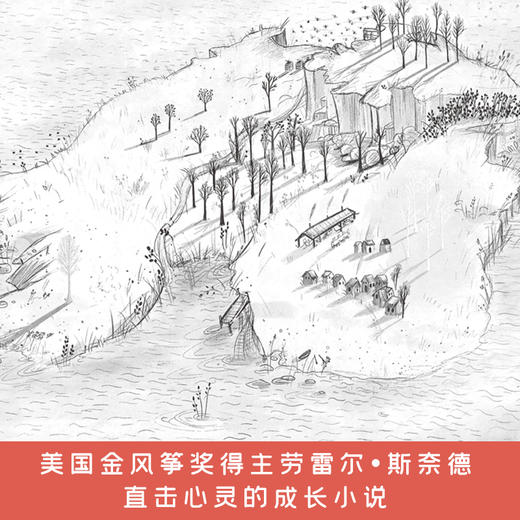 孤儿岛   5年级书目|正版现货速发|名师推荐|小学生课外阅读五年级 商品图1