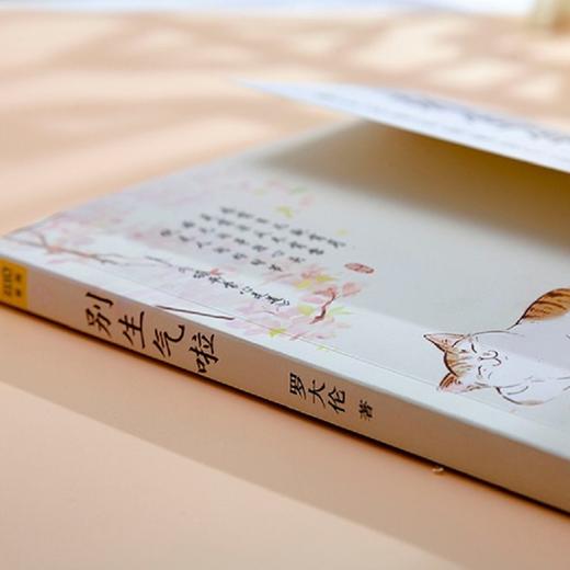 别生气啦 绝大多数的病都是气出来的 罗大伦 著 80%的病都是不良情绪导致想不开、气不顺所致 养生 商品图1