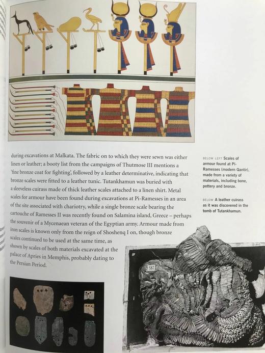 法老的宫廷与战争生活 234幅插图（172幅彩色） 精装16开 商品图11