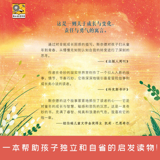 孤儿岛   5年级书目|正版现货速发|名师推荐|小学生课外阅读五年级 商品图3