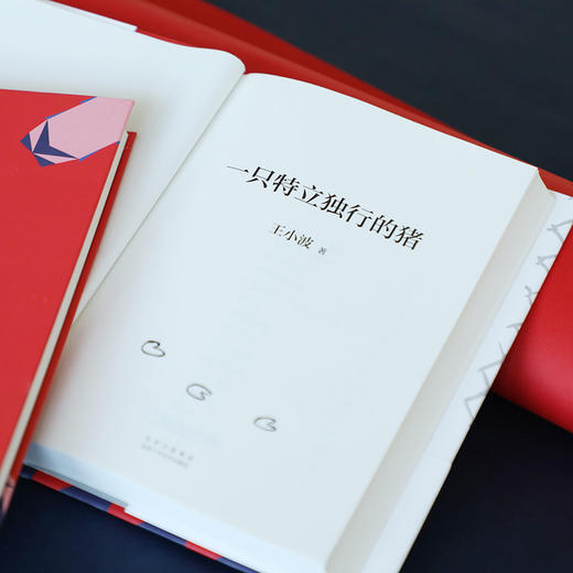 (仓发) 王小波：一只特立独行的猪（新版）/北京十月文艺出版社/王小波/9787530220276 商品图4