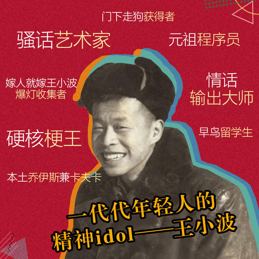 (仓发) 王小波：一只特立独行的猪（新版）/北京十月文艺出版社/王小波/9787530220276 商品图7