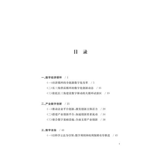 数字长三角战略2021：数字创新(精)/浙江大学数字长三角战略研究小组/浙江大学出版社 商品图5