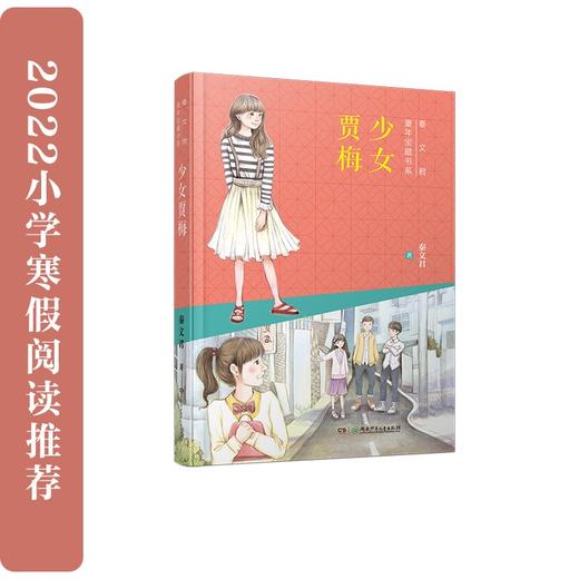 (仓发) 秦文君童年宝藏书系：少女贾梅/湖南少年儿童出版社/秦文君/9787556249565 商品图1
