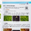 After Effects动态图形与动效设计:全彩慕课版 商品缩略图4