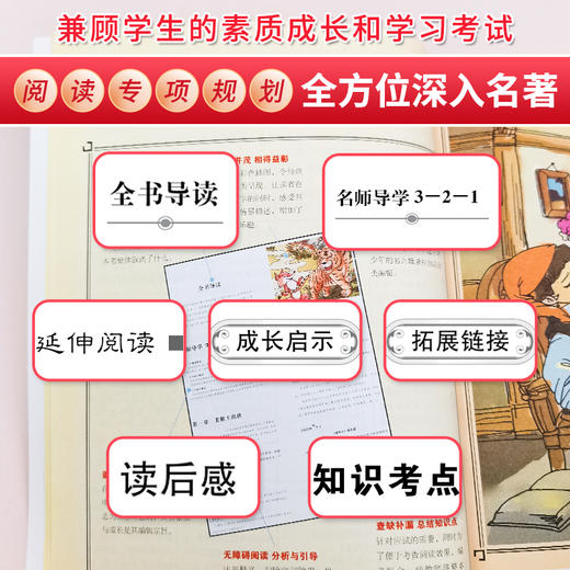 (仓发) 尼尔斯骑鹅旅行记 快乐读书吧六年级下册推荐阅读 无障碍阅读 小学生课外推荐阅读书目 有习题/南方出版社/[瑞典]塞尔玛·拉格洛夫/9787550168312 商品图8