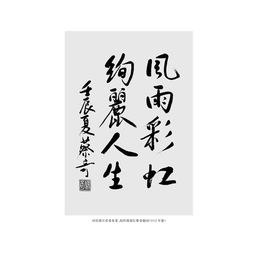 寻梦彩虹人生/阮俊华/浙江大学出版社 商品图1