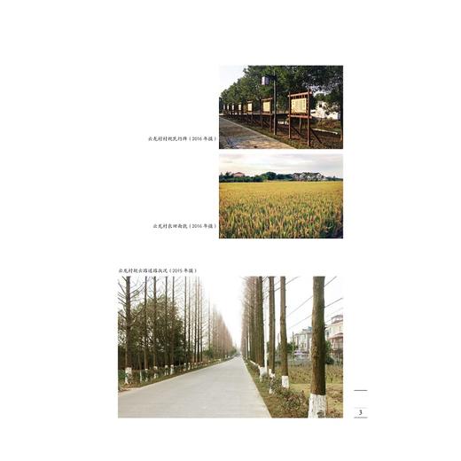 云龙蚕桑志（修订版）（精）/赵丰/浙江大学出版社 商品图3