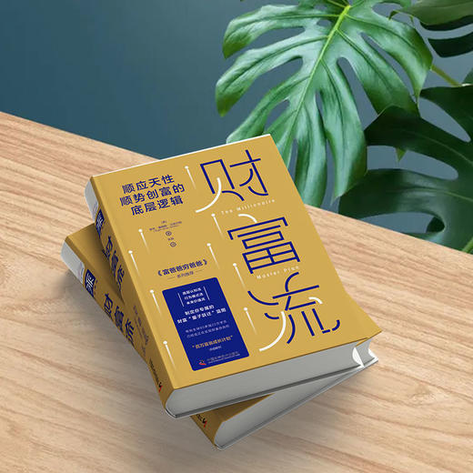 【精装】财富流（自营店尊享三重购书大礼） 商品图4