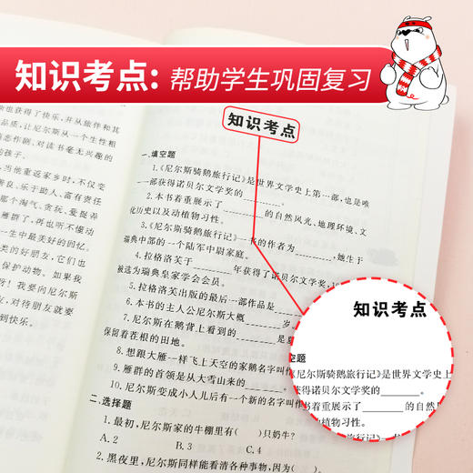 (仓发) 尼尔斯骑鹅旅行记 快乐读书吧六年级下册推荐阅读 无障碍阅读 小学生课外推荐阅读书目 有习题/南方出版社/[瑞典]塞尔玛·拉格洛夫/9787550168312 商品图5