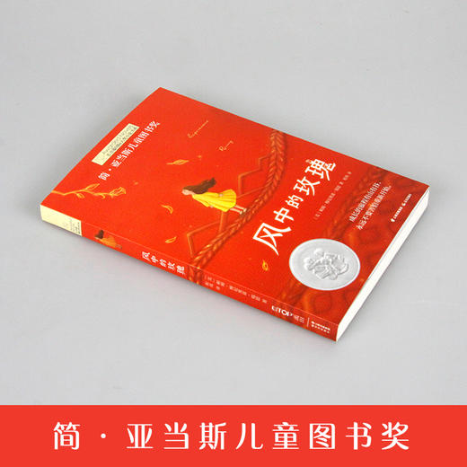 风中的玫瑰   六年级共读书正版现货速发|名师推荐|小学生课外阅读6年级课外读物 商品图3