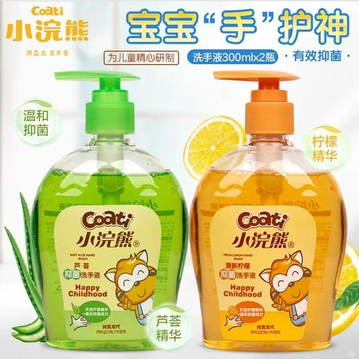 小浣熊（柠檬/芦荟）抑菌洗手液300ml 商品图0