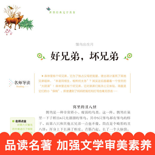 (仓发) 森林报 小学生课外阅读书籍三四五六年级必读世界经典名著青少年儿童文学读物故事书名师全解版/北京日报出版社/维·比安基/9787547719329 商品图2