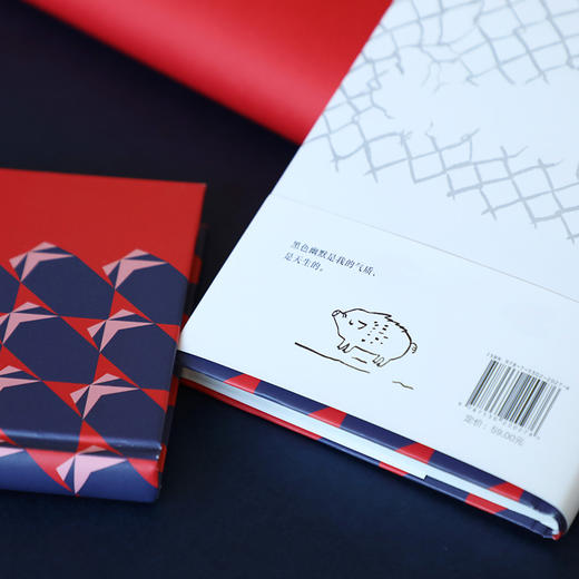 (仓发) 王小波：一只特立独行的猪（新版）/北京十月文艺出版社/王小波/9787530220276 商品图5