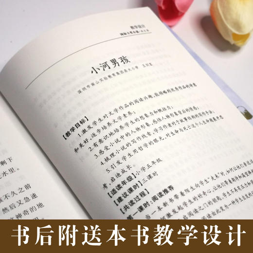 小河男孩    4年级书目|百正版现货速发|名师推荐|小学生课外阅读四年级 商品图1