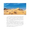 万里同文：新疆出土汉文书迹集萃（典藏版）(精)/新疆文物考古研究丛书/陈凌/责编:徐凯凯/蔡帆/浙江大学出版社 商品缩略图5