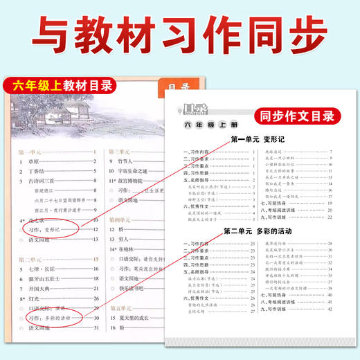 同步作文 六年级上下册合订本 商品图6
