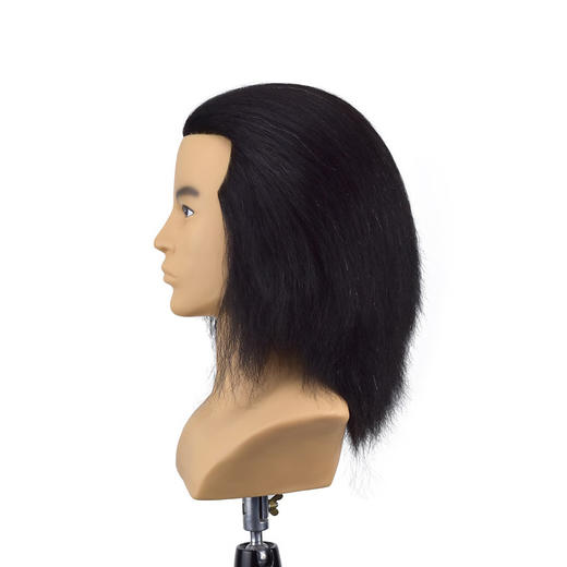飞彩10寸黑色全人发男士带肩教练头 商品图1