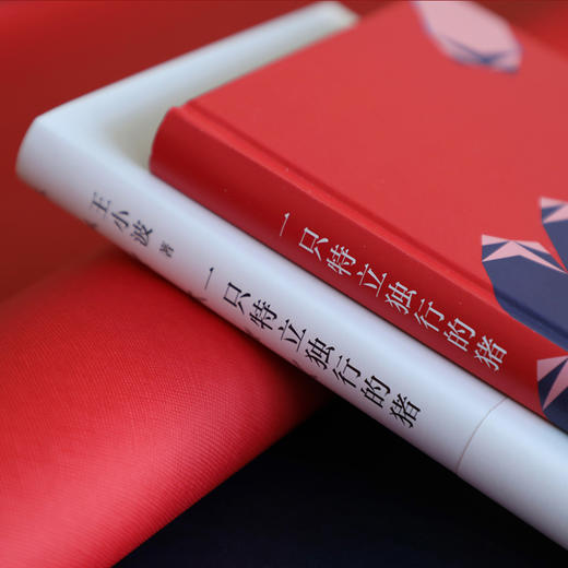 (仓发) 王小波：一只特立独行的猪（新版）/北京十月文艺出版社/王小波/9787530220276 商品图3