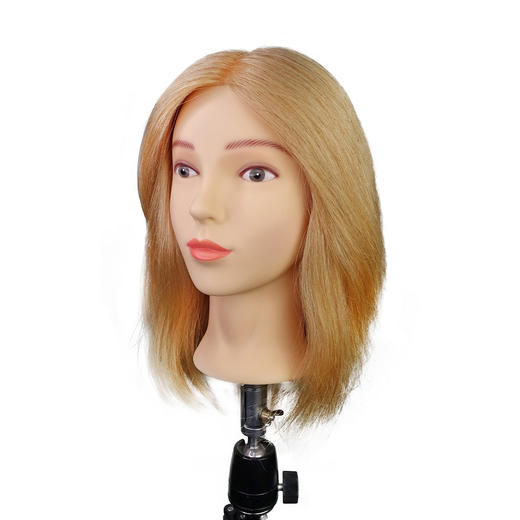 飞彩12寸金色全人发女士教练头 商品图2