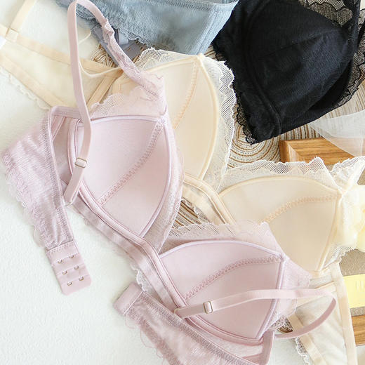 TG-TG02S142真丝内衣女无钢圈法式性感桑蚕丝蕾丝文胸显胸小薄款女三角杯 商品图1