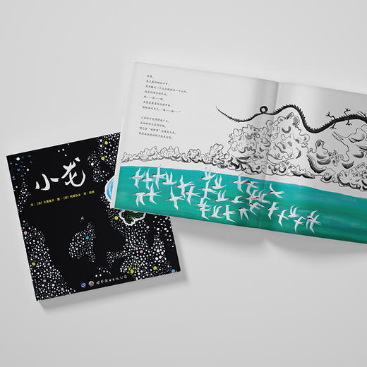 小龙   2年级书目|正版现货速发|名师推荐|小学生课外阅读2年级 商品图3