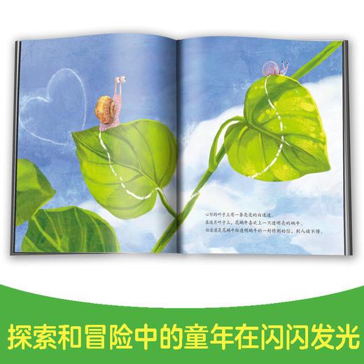 花蜗牛的巡游  大班学前书目|正版现货速发|名师推荐|小学生课外阅读 商品图1
