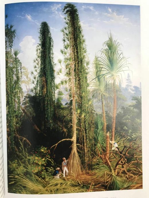 探险者之眼 120幅彩色插图 精装16开 商品图11