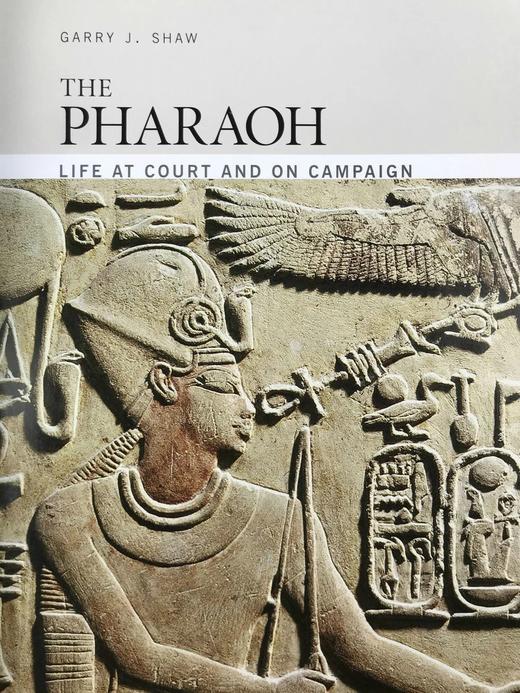 法老的宫廷与战争生活 234幅插图（172幅彩色） 精装16开 商品图3