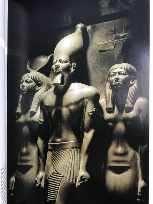 法老的宫廷与战争生活 234幅插图（172幅彩色） 精装16开 商品图14