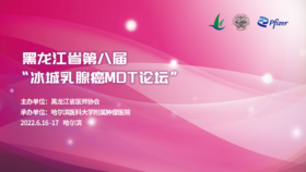 黑龙江省第八届“冰城乳腺癌MDT论坛（2022年6月17早上）