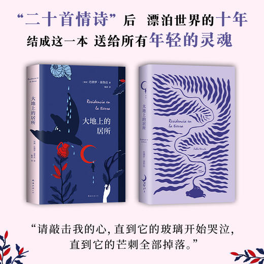 (仓发) 大地上的居所/南海出版公司/[智利]巴勃罗•聂鲁达/9787544285681 商品图4