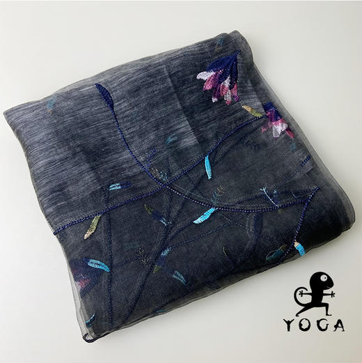 【现货秒发】壁虎瑜伽【真丝丝巾】百搭女披肩 商品图5